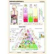 Tráviaca sústava II. diel (A4) - Tabuľka - cena, porovnanie