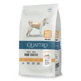 Quattro Dog Dry Premium Maxi Adult 3kg