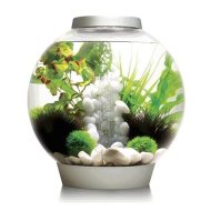 Biorb Classic 30 LED - cena, porovnanie