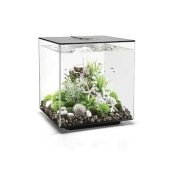 Biorb Cube 60 LED - cena, porovnanie