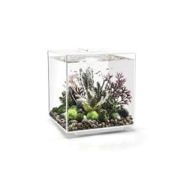 Biorb Cube 60 MCR