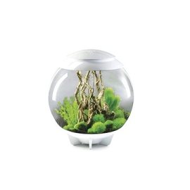 Biorb Halo 60 LED