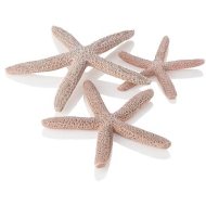 Biorb Starfish Set 3 - cena, porovnanie