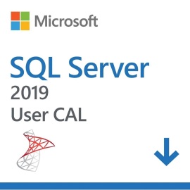 Microsoft SQL Server 2019 1 User CAL OLP Volume Licencie