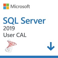 Microsoft SQL Server 2019 1 User CAL OLP Volume Licencie - cena, porovnanie