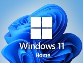 Microsoft Windows 11 Home