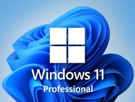 Microsoft Windows 11 Professional