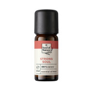 LR Health & Beauty Soul of Nature STRONG SOUL Zmes vôní 10ml - cena, porovnanie