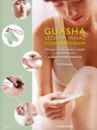 Guasha-Léčebná masáž poškrabáváním - cena, porovnanie