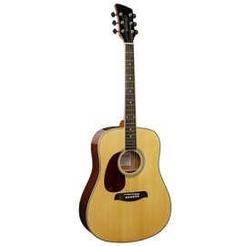 Brunswick Dreadnought BDL200