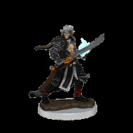Wizkids Pathfinder: Premium Painted Figure - Male Elf Magus - cena, porovnanie