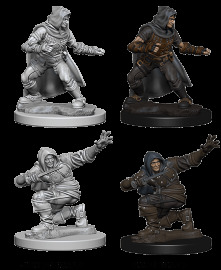 Wizkids Pathfinder Deep Cuts - Human Male Rogue