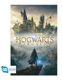 GBEye Plagát Harry Potter - Hogwarts Legacy