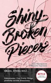 Shiny Broken Pieces CZ