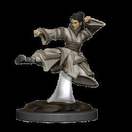Wizkids D&D Icons of the Realms Premium Painted Figure - Human Monk Female