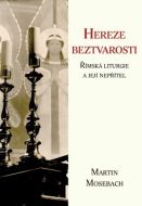 Hereze beztvarosti (Martin Mosebach) - cena, porovnanie