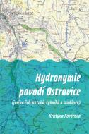 Hydronymie povodí Ostravice - cena, porovnanie