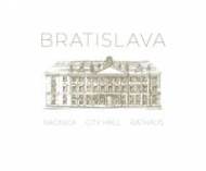 Bratislava - City Hall, Rathaus, Radnica - cena, porovnanie