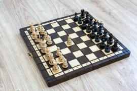 Drevený šach Dámsky gambit