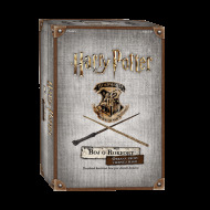 Valentín Harry Potter - Boj o Rokfort: Obrana proti čiernej mágii - cena, porovnanie