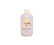 Inebrya Ice Cream Frequent Refreshing Shampoo 300ml - cena, porovnanie