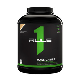 Rule 1 Mass Gainer 2600g