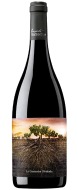 Proyecto Garnachas La Garnacha Olvidada De Aragon 0,75l - cena, porovnanie