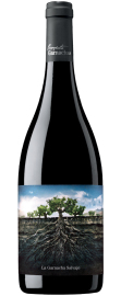 Proyecto Garnachas La Garnacha Salvaje del Moncayo 0,75l