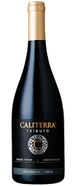 Caliterra Tributo Malbec Petreo 0,75l