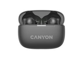 Canyon TWS-10