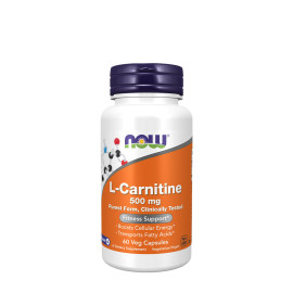 Now Foods L-Carnitine 500mg 60tbl