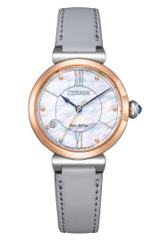 Citizen EM1074