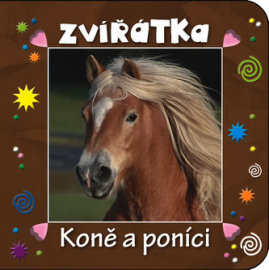 Zvířátka Koně a poníci