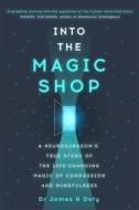 Into the Magic Shop - cena, porovnanie