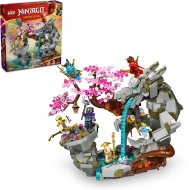 Lego NINJAGO 71819 Chrám dračieho kameňa - cena, porovnanie