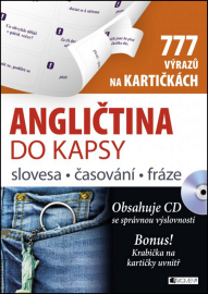 Angličtina do kapsy - slovesa, časování, fráze