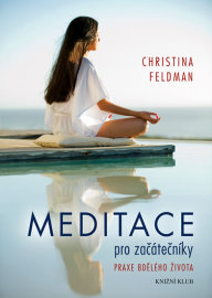 Meditace pro začátečníky - Christine Feldman
