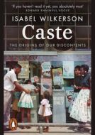 Caste - Isabel Wilkerson - cena, porovnanie