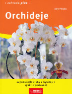 Orchideje - Zahrada plus - cena, porovnanie
