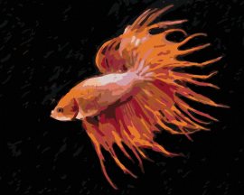 Zuty Červená ryba, 80x100cm plátno napnuté na rám