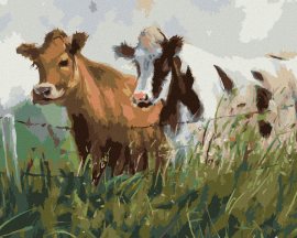 Zuty Dve kravy v ohrade, 80x100cm plátno napnuté na rám