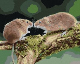 Zuty Dve myšky v lese, 80x100cm plátno napnuté na rám
