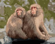 Zuty Dve opice v zoo v Japonsku, 80x100cm bez rámu a bez napnutia plátna - cena, porovnanie