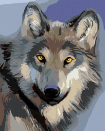 Zuty Hlava vlka, 80x100cm plátno napnuté na rám