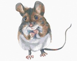 Zuty Hnedá myška, 80x100cm bez rámu a bez napnutia plátna