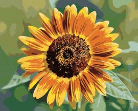 Zuty Kvet slnečnice, 80x100cm plátno napnuté na rám