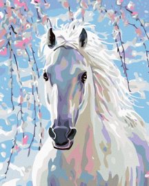 Zuty Maľovanie podľa čísel Biely kôň, 80x100cm bez rámu a bez vypnutia plátna