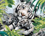 Zuty Maľovanie podľa čísel Biely tiger a dve mláďatá (Howard Robinson), 80x100cm napnuté plátno na rám - cena, porovnanie