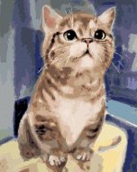 Zuty Maľovanie podľa čísel Zvedavá mačka, 80x100cm napnuté plátno na rám - cena, porovnanie