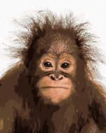 Zuty Mladý orangutan, 80x100cm plátno napnuté na rám - cena, porovnanie